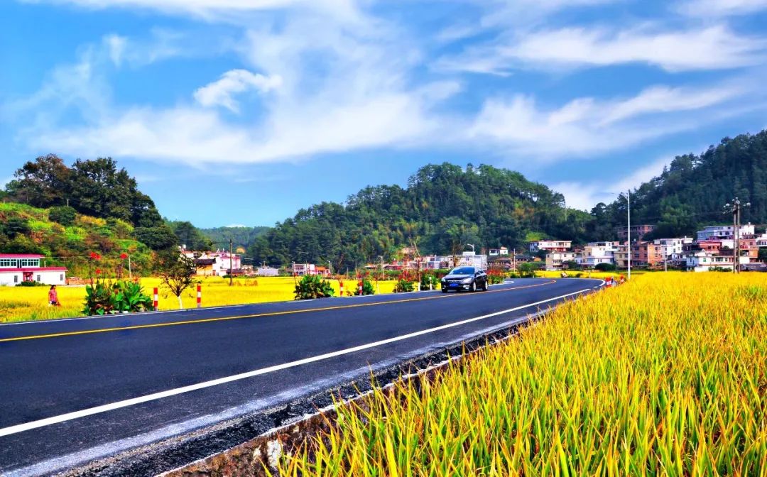 福建公布2024美丽乡村“福”路，你“路”过这些美景了吗